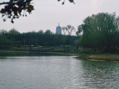 -永定河休闲森林公园