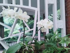 -广州兰圃