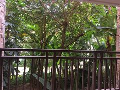 -西双版纳融创皇冠假日度假酒店