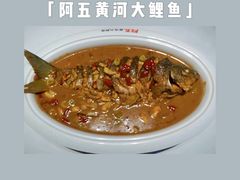 红烧黄河大鲤鱼-阿五黄河大鲤鱼(纬三路店)