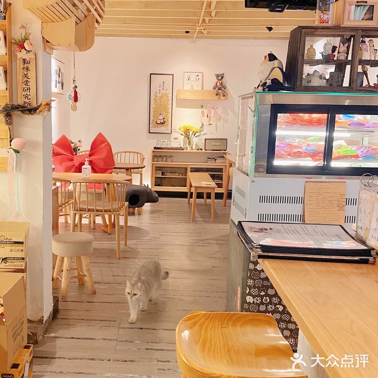 天津🐈探店｜是香软软的小猫咪呀🦷  