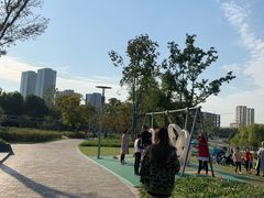 -映月湖中央公园