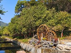 -广州白江湖森林公园