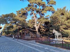 -北陵公园