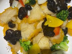 五彩金耳菌-松针蔡记蒸饺(花园路店)
