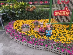 -南宁南湖公园