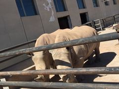 -鄂尔多斯野生动物园