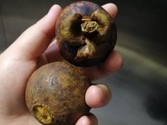 -乐乐鲜果水果超市(河北店)