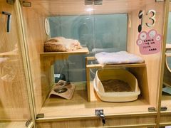 -BABIT巴比特宠物(MOMOPARK店)