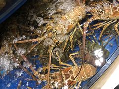 -海景壹号大酒店(滨湖店)