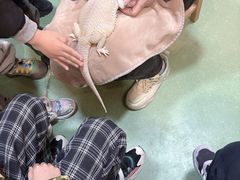 -藦茜花园宠物主题亲子互动体验馆(国顺东路店)