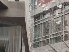 -中粮·祥云小镇