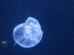 -杭州海底世界
