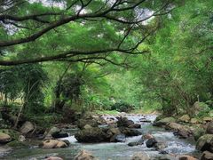 -广州市石门国家森林公园