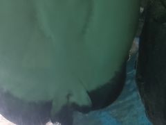 -苏州海洋馆