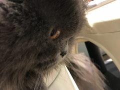 -小时光咖啡馆(开森度假森林店)