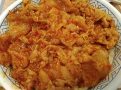 辣白菜猪肉饭-吉野家(红博中央公园店)