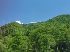 -将军关探险漂流