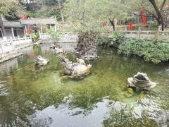 -国恩寺