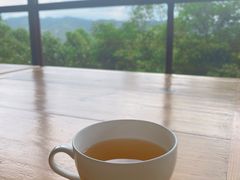 -雁南飞茶田景区