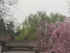 -西安青龙寺遗址景区
