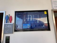 -春花秋色城市公园