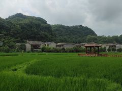 -高荡千年布依古寨旅游景区