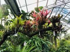 -国家植物园南园