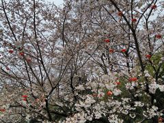 -幕燕滨江·燕子矶公园