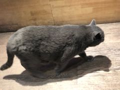 -小时光咖啡馆(开森度假森林店)