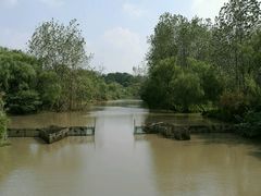 -溱湖国家湿地公园