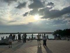 -宝安西湾红树林湿地公园