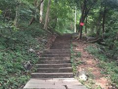 -九曜山