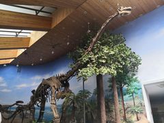 -延庆地质公园博物馆