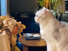 -咖法森林·咖啡  酒吧(天河店)