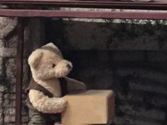 -济州岛泰迪熊博物馆