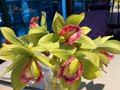-申粤轩酒楼·三十年粤菜经典(丁香花园店)