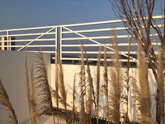 -Blue Concept Cafe&Farm·關於藍