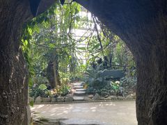 -南山植物园