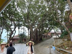 -海南分界洲岛旅游区