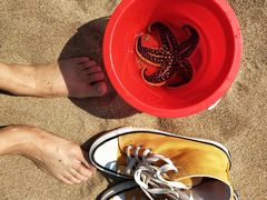 -老虎石海上公园