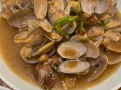 炒花蛤-双塔老饭店