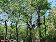 -WeLope紫金山探险公园