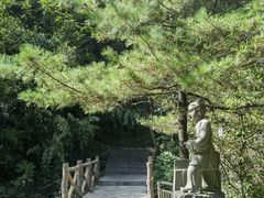-王顺山国家森林公园