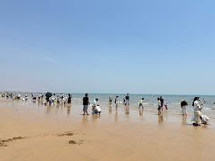 -日照海滨国家森林公园