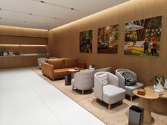 -XPEL旗舰店·汽车贴膜·隐形车衣·改色贴膜