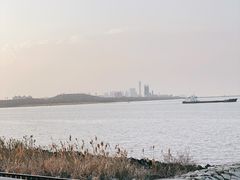 -上海滨江森林公园