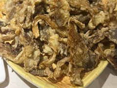 -佶政筋饼·新概念(安阳路店)