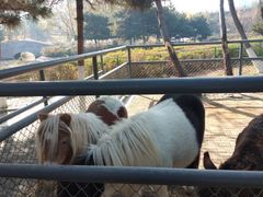 -长白岛森林公园