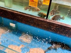 -西贝海鲜汇(槐安路店)